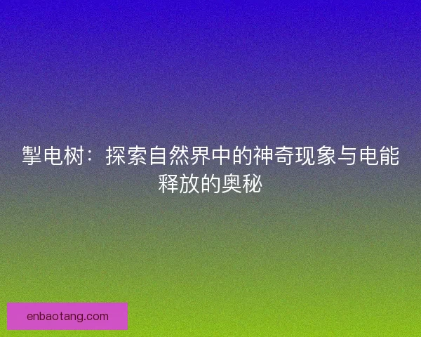 掣电树：探索自然界中的神奇现象与电能释放的奥秘